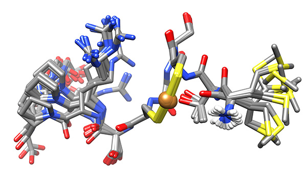 Figure 17