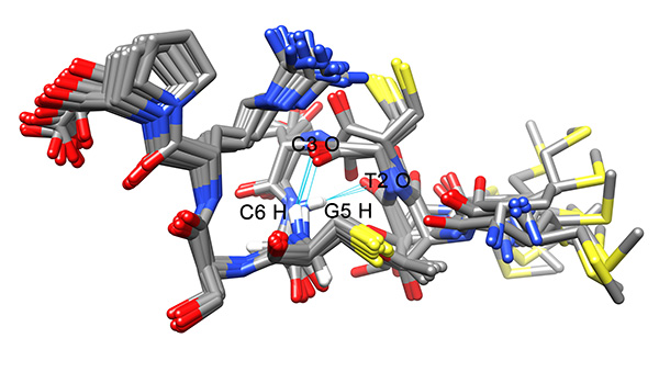 Figure 20