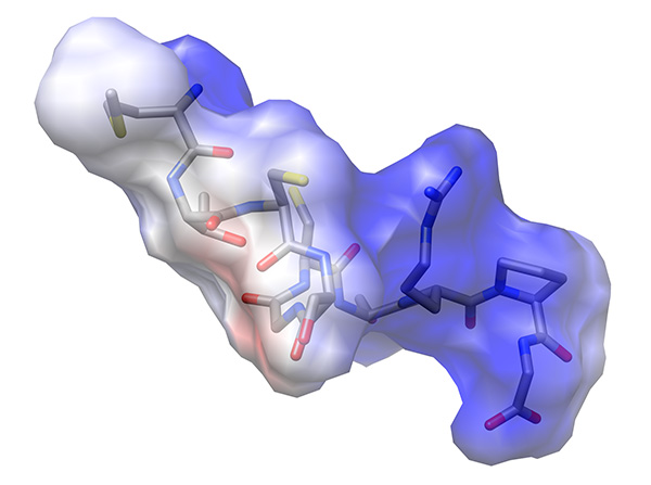 Figure 22