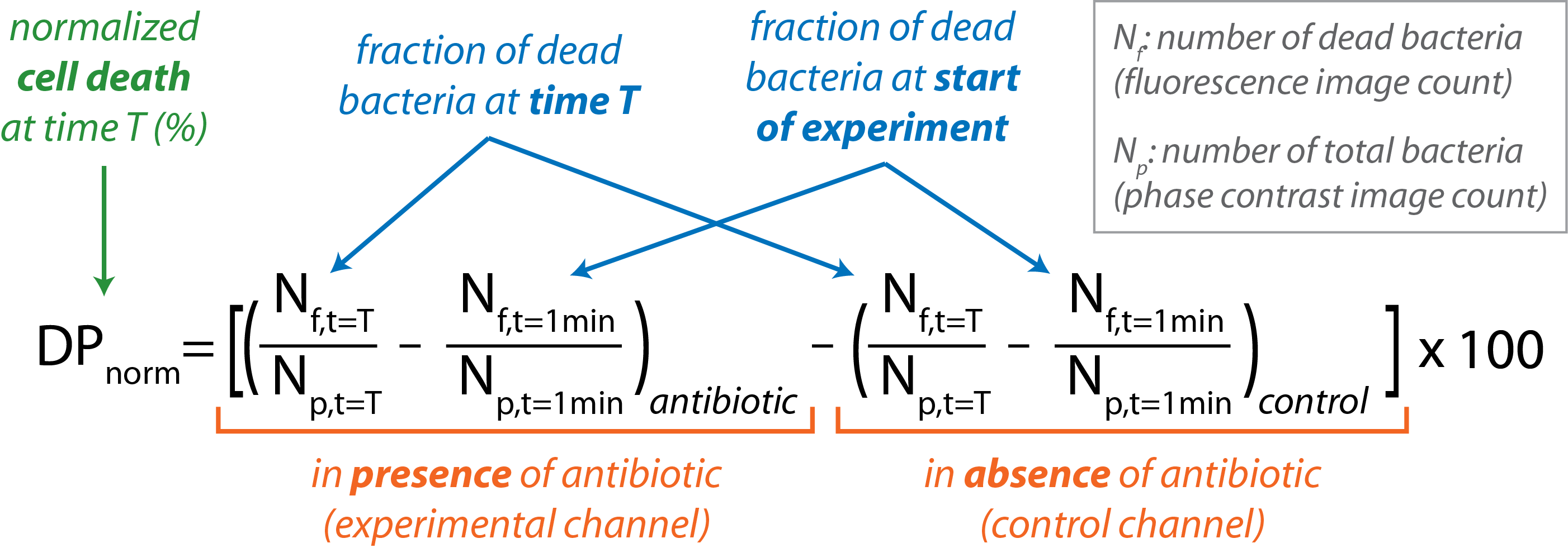 Data Analysis Equation