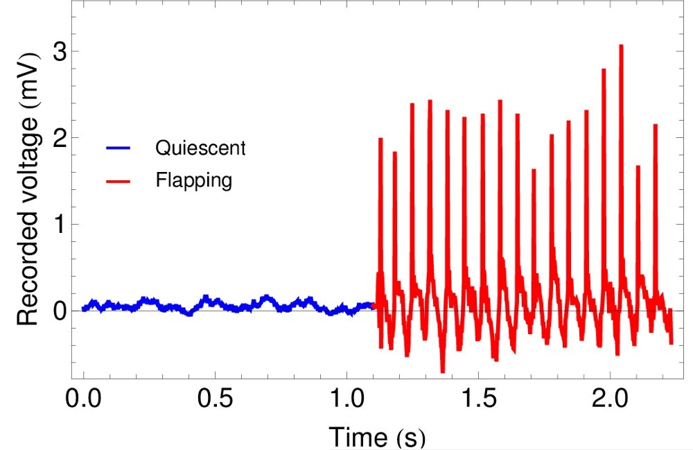 Figure 5