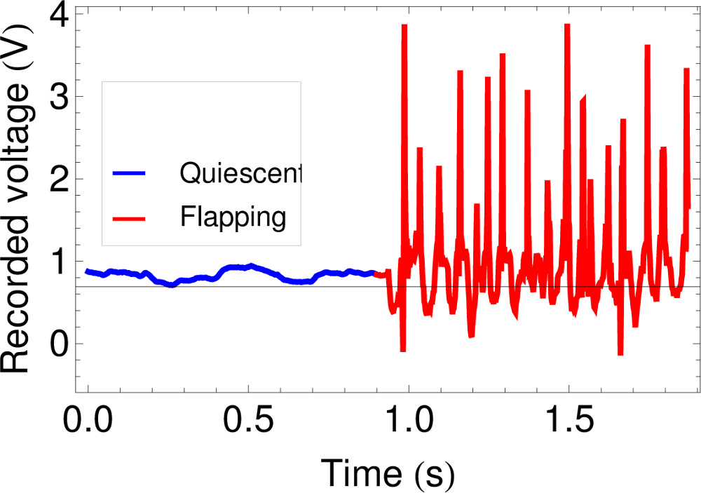 Figure 6