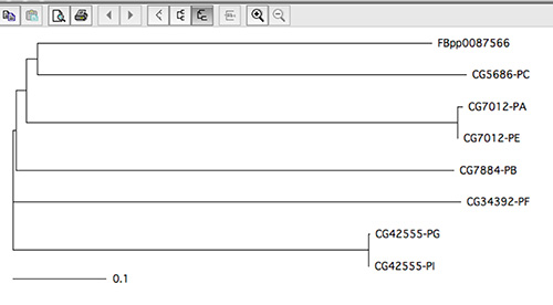 Figure 12