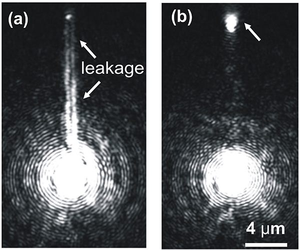 Figure 11