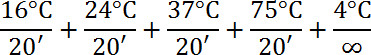 Equation 1