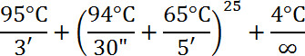 Equation 2