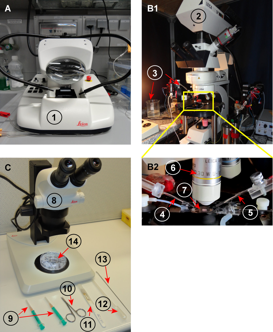 Figure 2