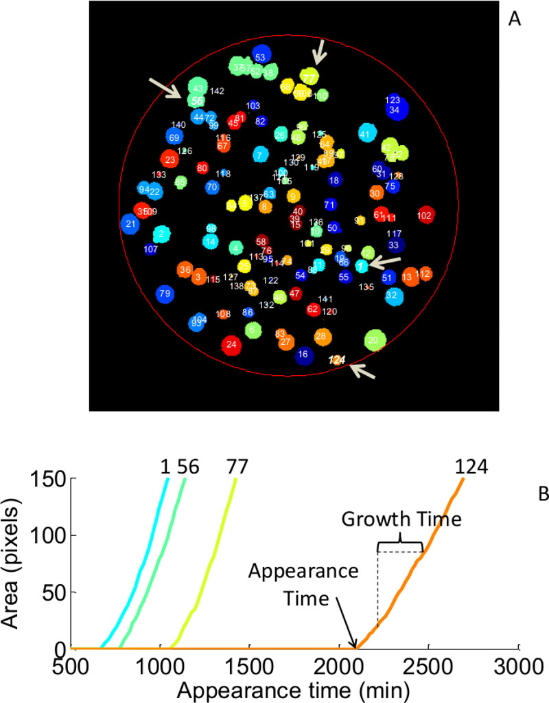 Figure 5