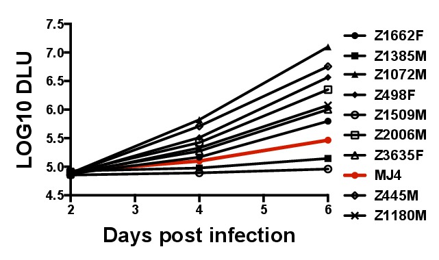 Figure 5