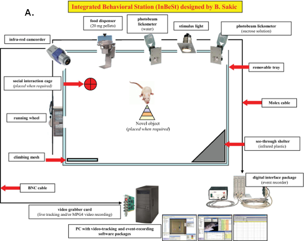 Figure 2A