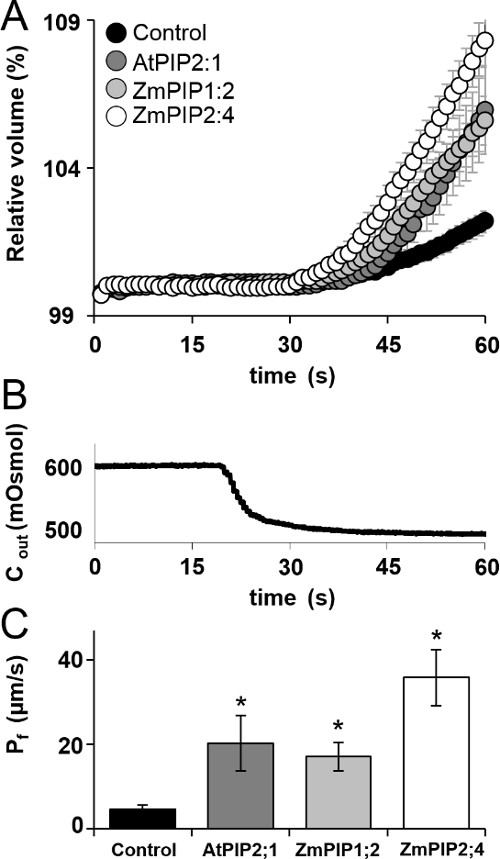 Figure 8