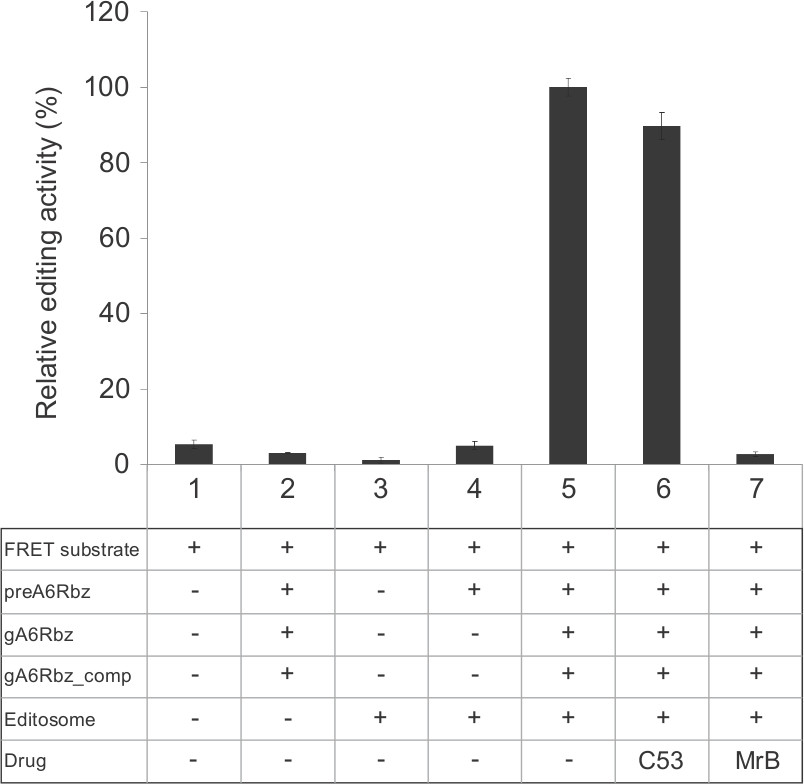 Figure 5