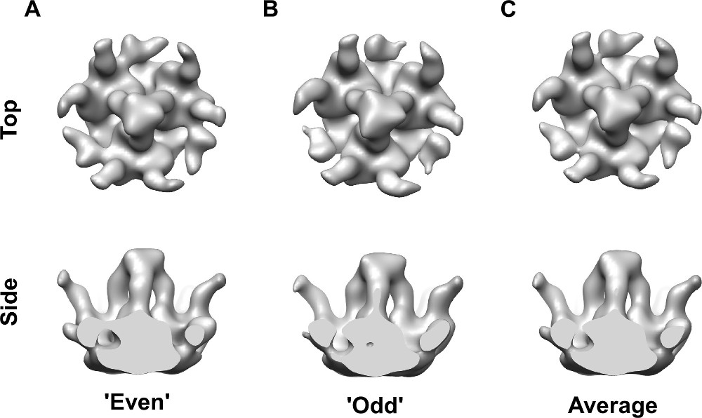 Figure 5