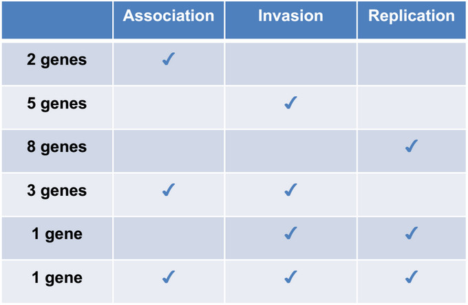 Table 1