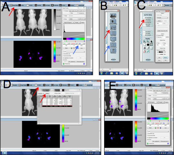 Figure 4