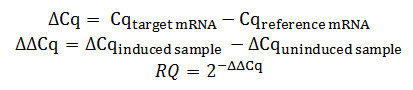 Equation 1