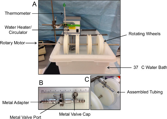 Figure 2