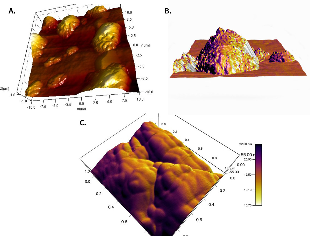 Figure 5