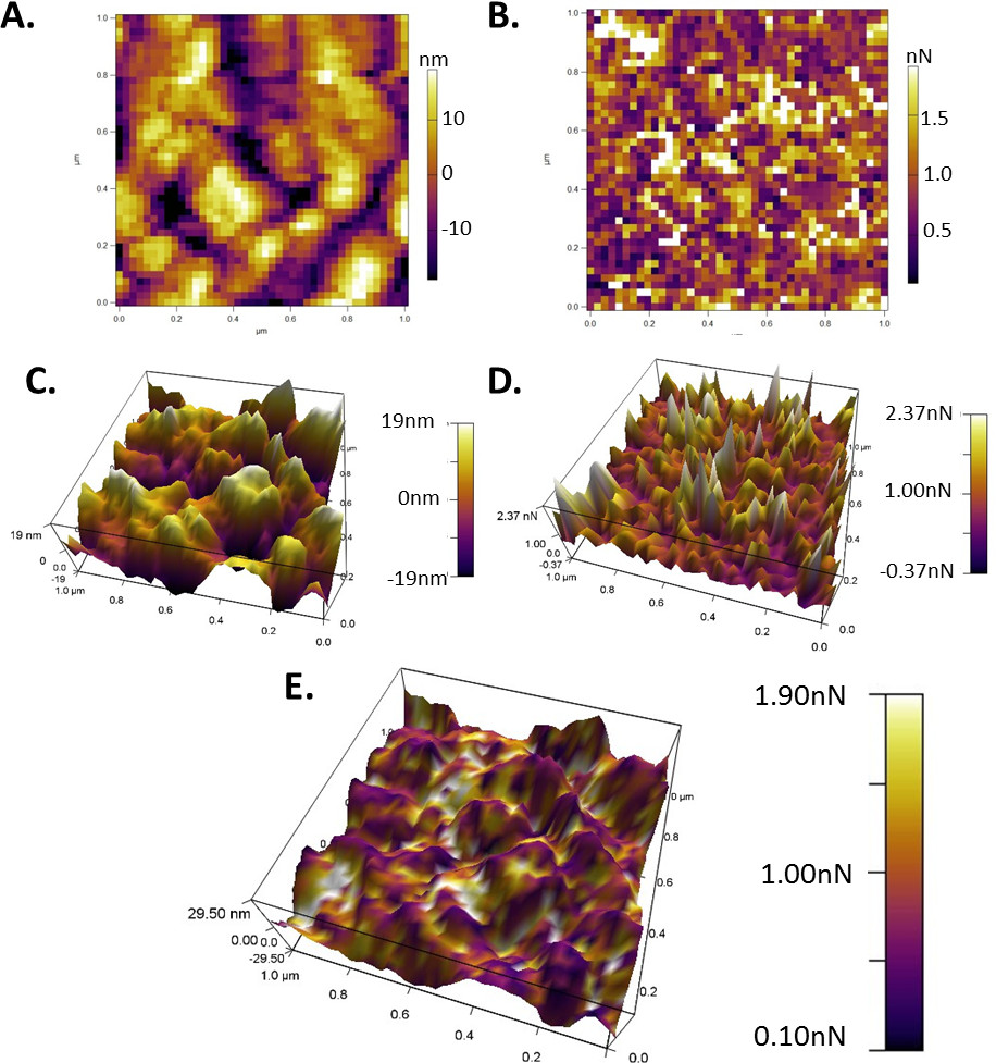 Figure 7