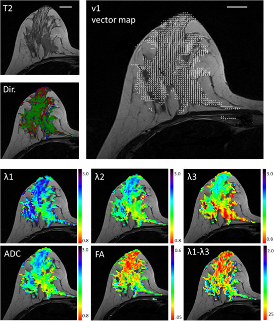 Figure 14