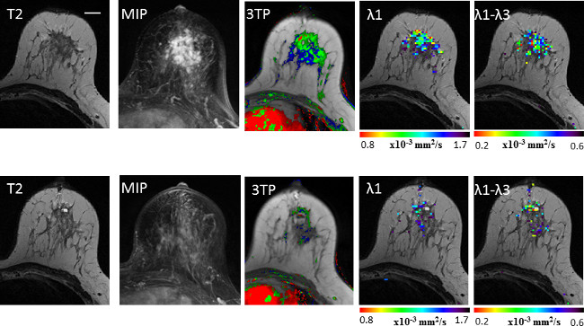 Figure 17