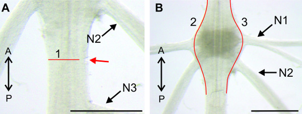 Figure 15