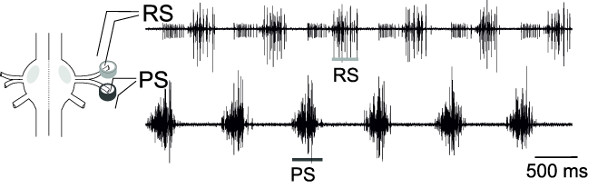 Figure 18