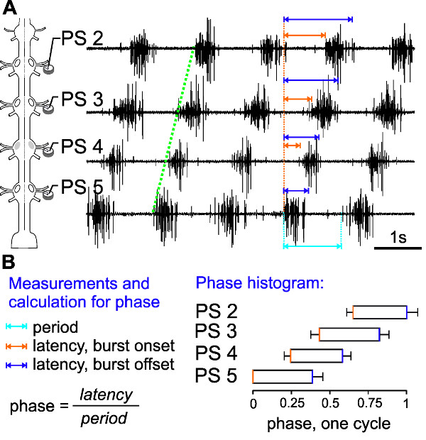 Figure 19