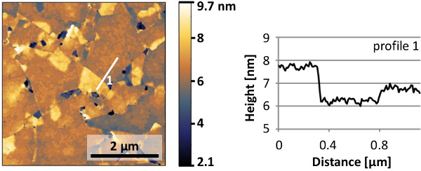 Figure 12