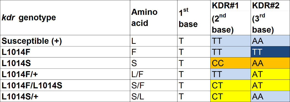 Table 6