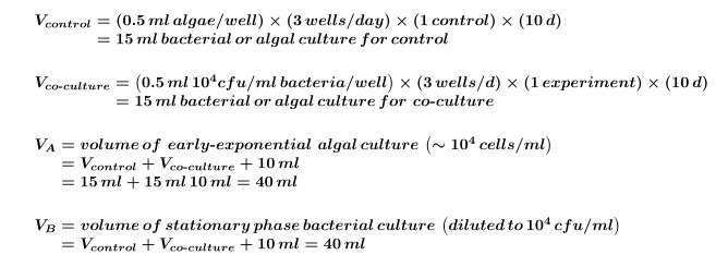 Equation 10