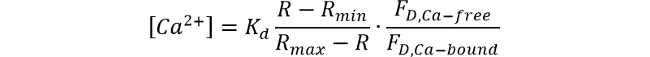 Equation 1