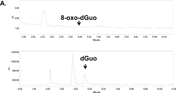 Figure 6A