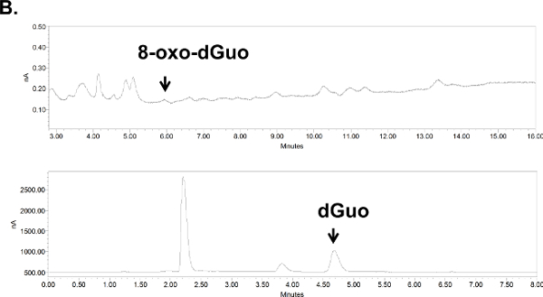 Figure 6B