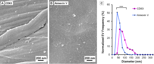 Figure 3-mercaptopropyl