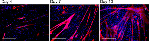 Figure 10