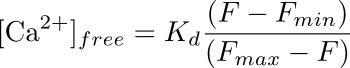 Equation 1