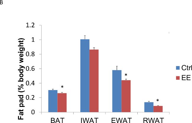 Figure 3b