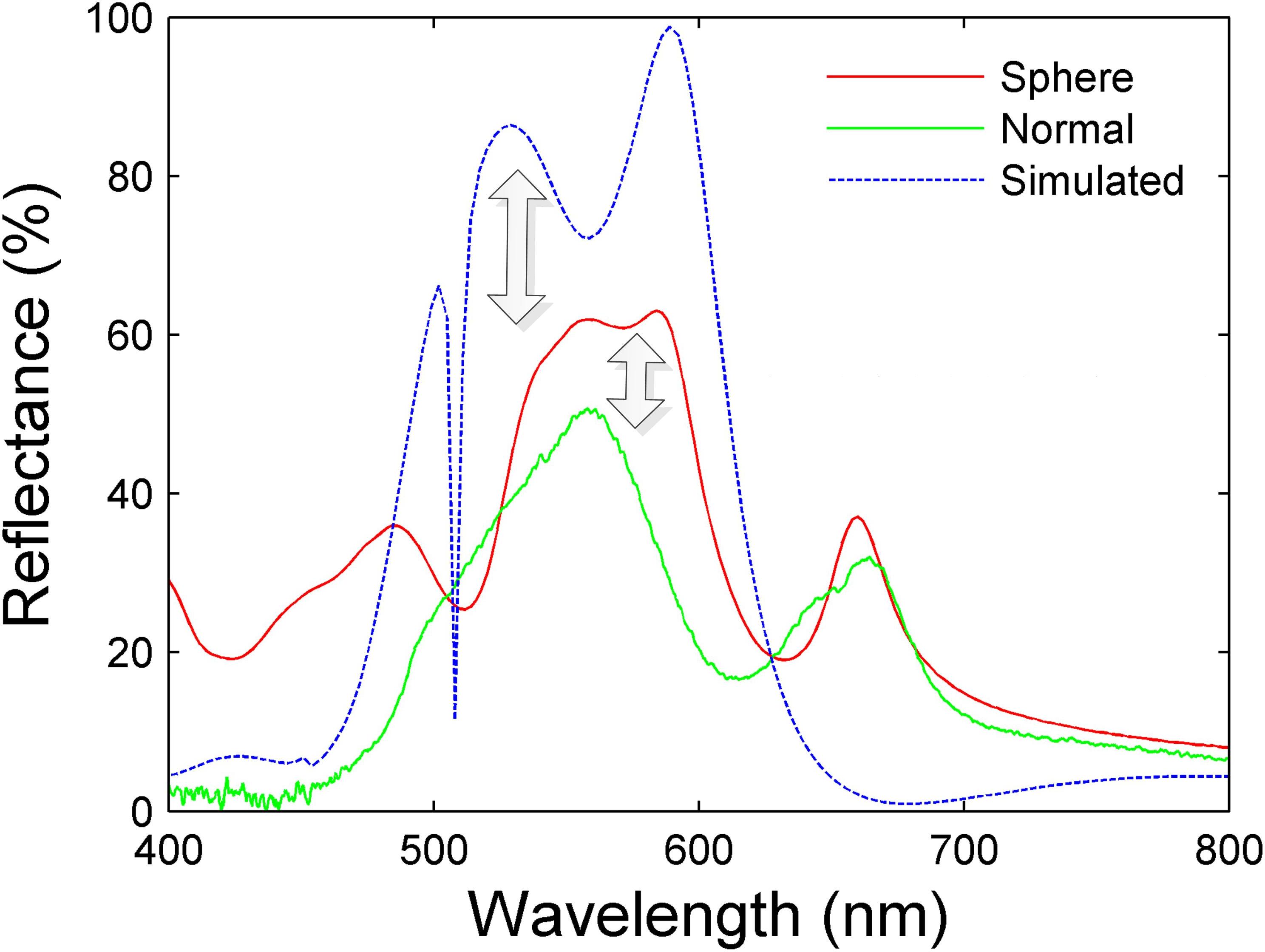 Figure 10