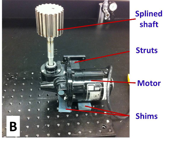 Figure 1B