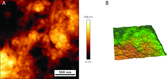 Figure 5