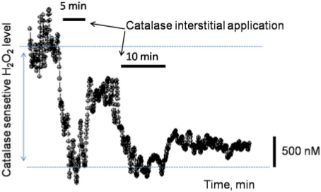 Figure 12