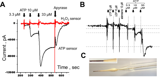 Figure 7