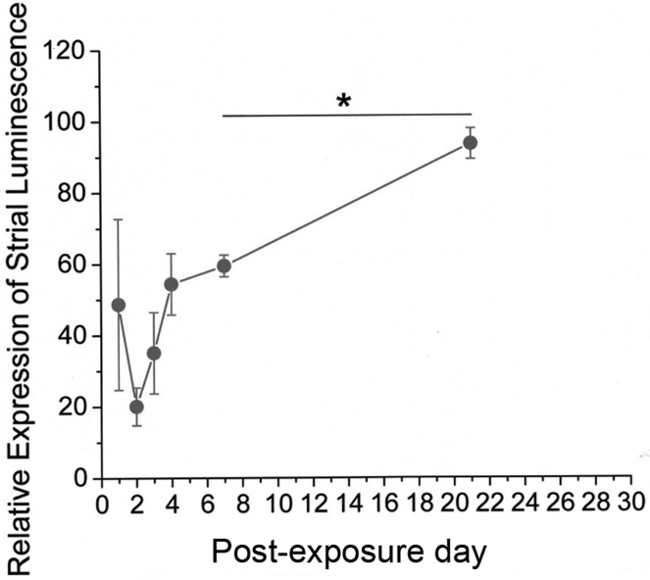 Figure 12