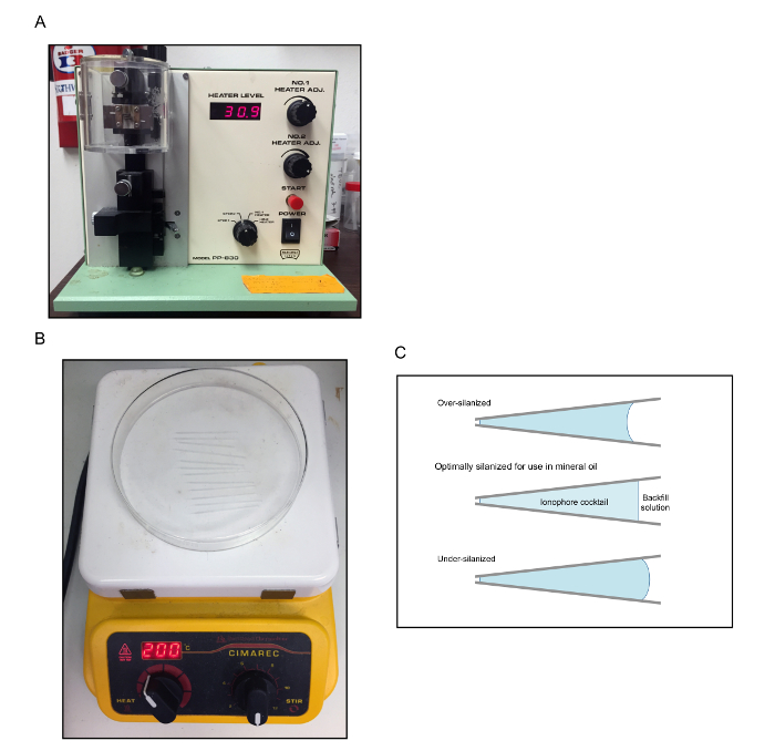 Figure 5