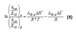 Equation 5