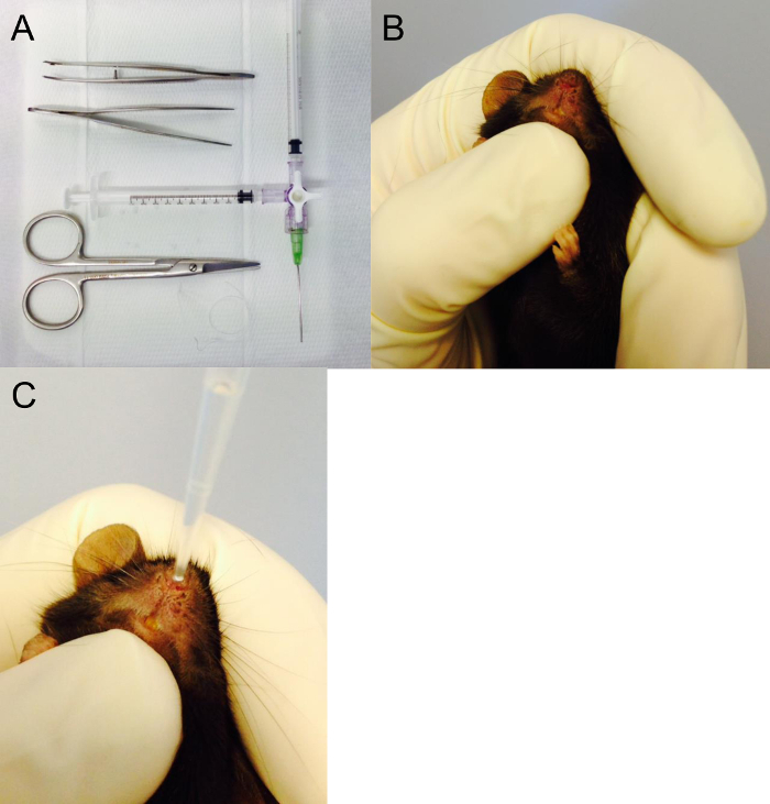 Figure 4