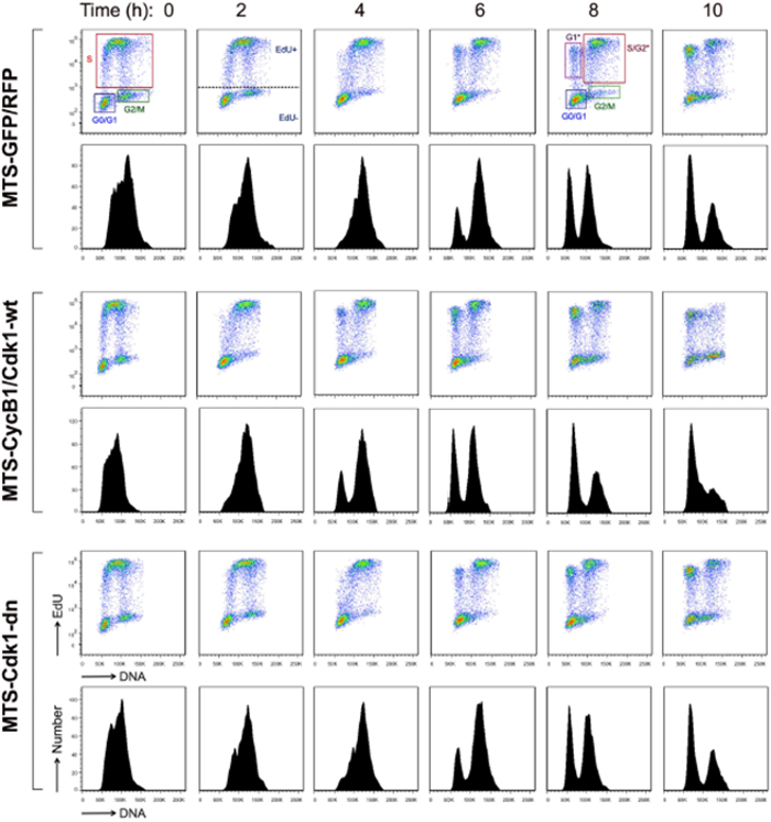 Figure 4