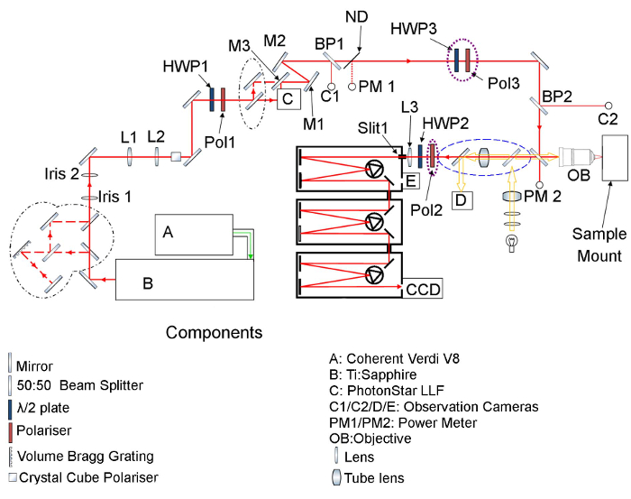 Figure 10