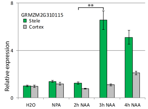 Figure 5